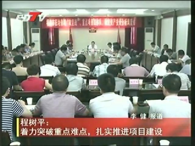程樹平：著力突破重點難點，扎實推進(jìn)項目建設(shè)