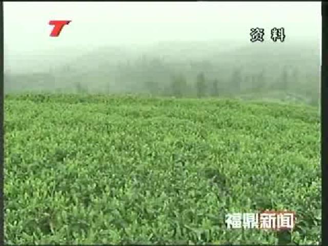 我市申報國家有機產品（茶葉）認證示范區