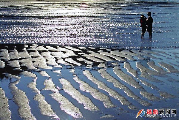 海灘韻律.JPG