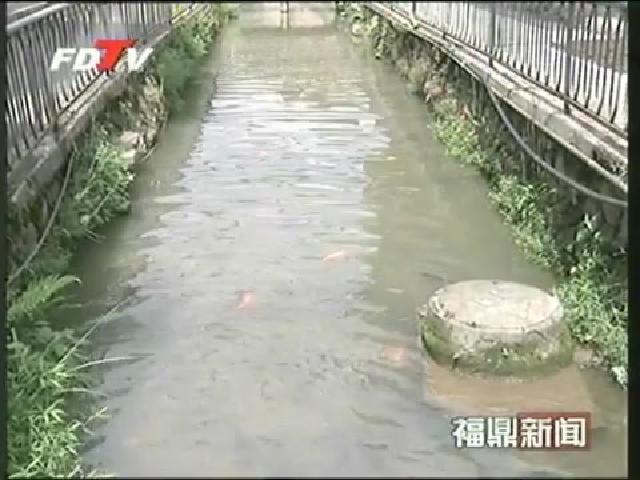 磻溪：家園清潔重長效 綠色鄉村煥生機