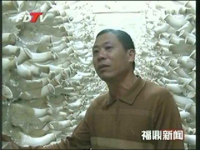 福鼎：食用菌設施化工廠化栽培實現產業轉型升級