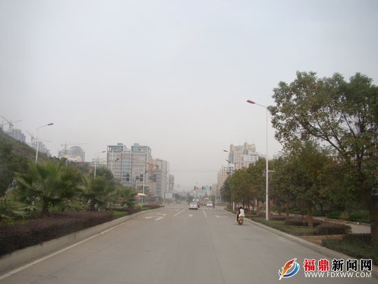 中央大道綠樹成行，高樓林立.JPG