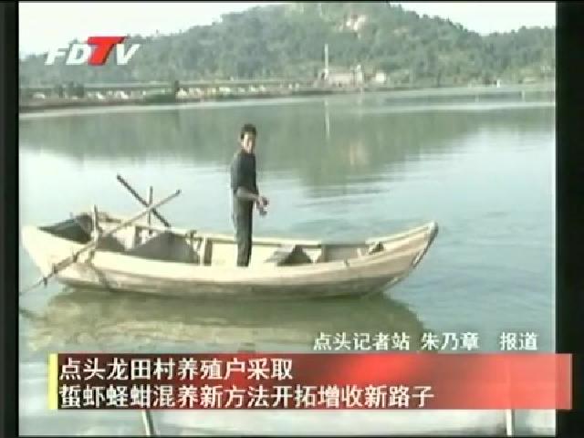 點頭龍田村養殖戶采取蜇蝦蟶蚶混養新方法開拓增收新路子