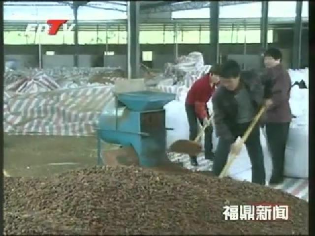 香港環球資本有限公司、江南大學專家蒞鼎考察黃梔子產業