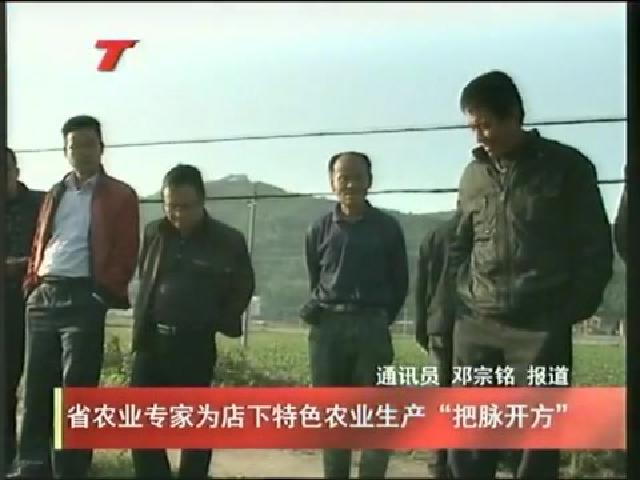 省農業專家為店下特色農業生產“把脈開方”