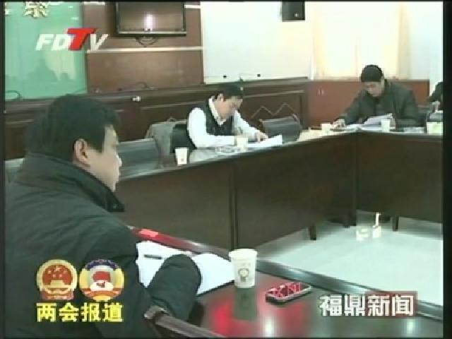 程樹平與人大代表、政協委員審議、討論《政府工作報告》
