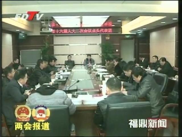 陳興華與前岐、點頭代表團人大代表審議《政府工作報告》