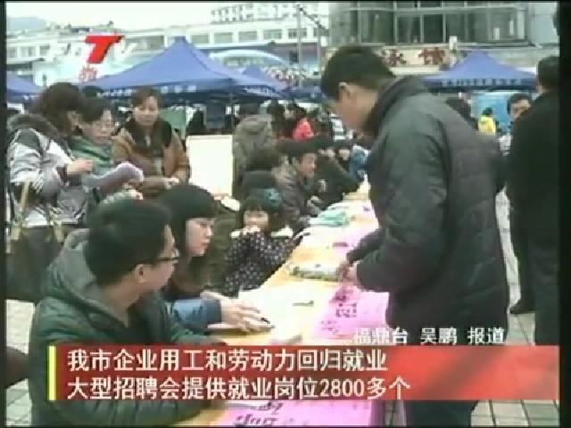 我市企業(yè)用工和勞動力回歸就業(yè)大型招聘會提供就業(yè)崗位2800多個(gè)
