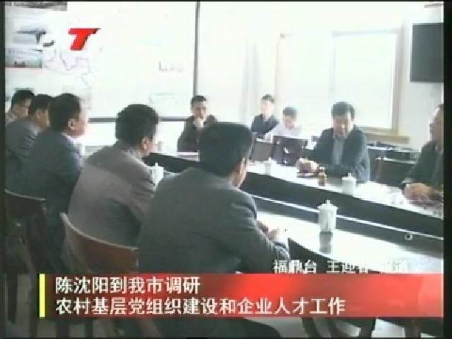 陳沈陽(yáng)到我市調(diào)研農(nóng)村基層黨組織建設(shè)和企業(yè)人才工作