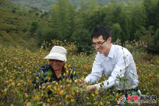 復(fù)件 2012農(nóng)戶向信貸員講述梔子豐收的喜悅.JPG