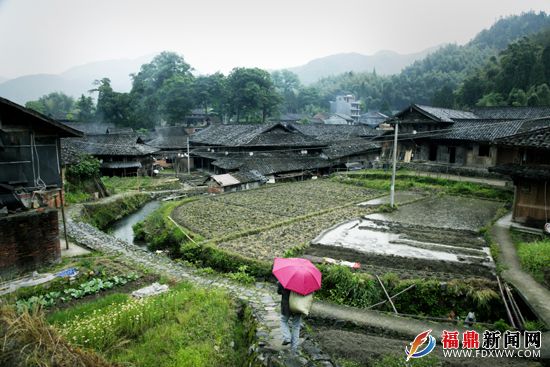中國傳統(tǒng)村落、省級(jí)歷史文化名村仙蒲村 吳維泉攝.JPG