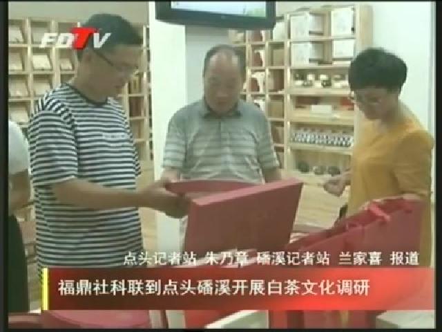 福鼎社科聯(lián)到點頭磻溪開展白茶文化調(diào)研