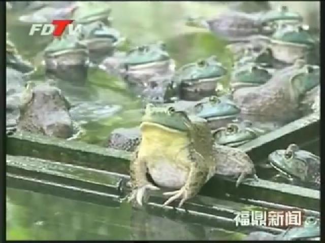 佳陽：開發(fā)山地資源促進農(nóng)戶增收致富