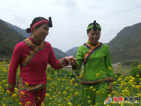 通過加入特種養(yǎng)殖合作社，讓搬下山的閩東畬族鄉(xiāng)群眾攜手走新生活（林熙 雷順號攝）.JPG