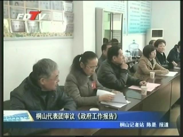 各代表團審議《政府工作報告》