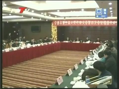 福鼎代表團認(rèn)真審議《寧德市政府工作報告》