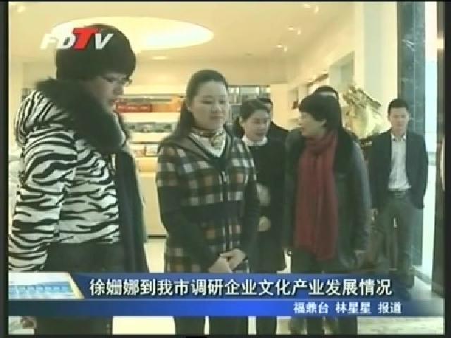 徐姍娜到我市調研企業文化產業發展情況