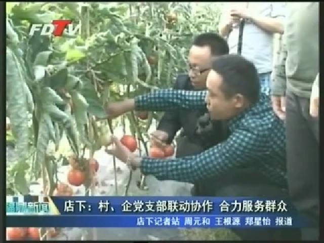 店下：村、企黨支部聯(lián)動協(xié)作  合力服務(wù)群眾