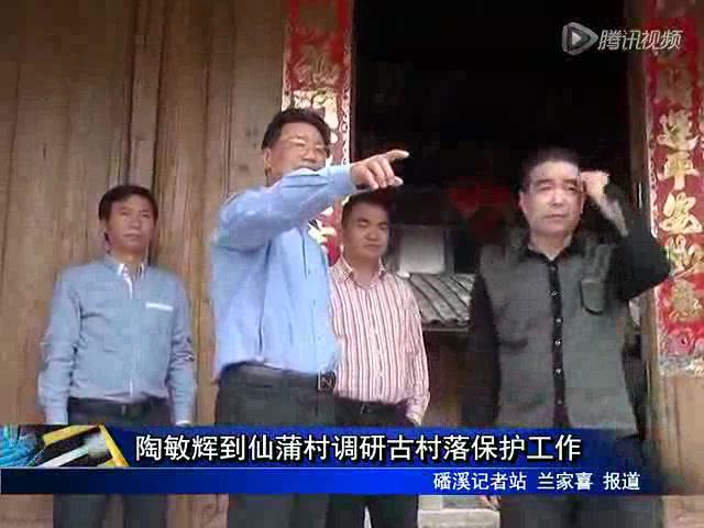 陶敏輝到仙蒲村調研古村落保護工作