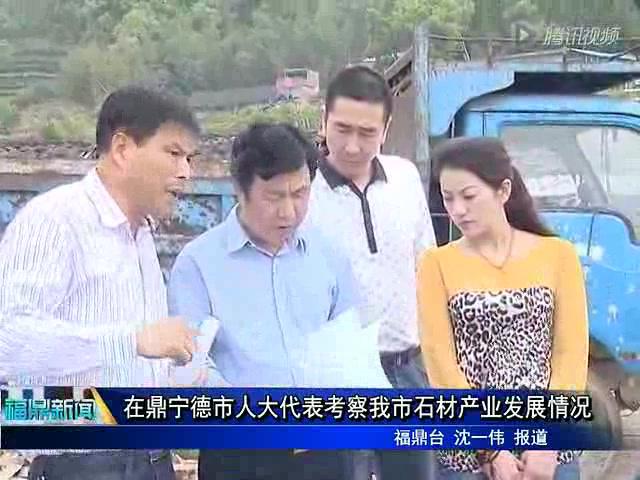 在鼎寧德市人大代表考察我市石材產業發展情況