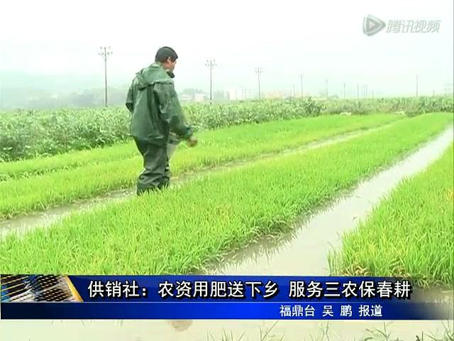 供銷社：農資用肥送下鄉 服務三農保春耕