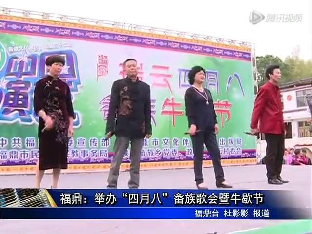 福鼎：舉辦“四月八”畬族歌會暨牛歇節