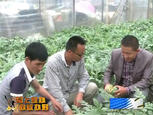 市農業局：“百師下百村幫千戶”