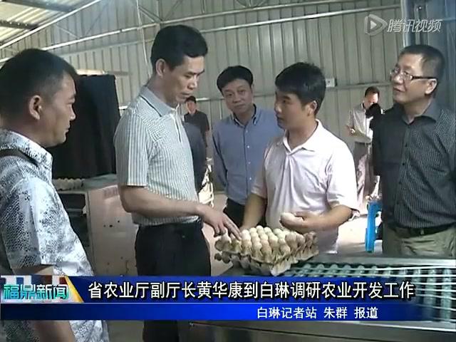省農業廳副廳長黃華康到白琳調研農業開發工作