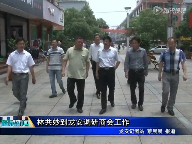 林共妙到龍安調研商會工作