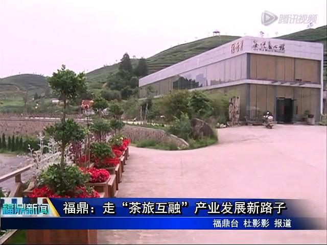 福鼎：走“茶旅互融”產業發展新路子