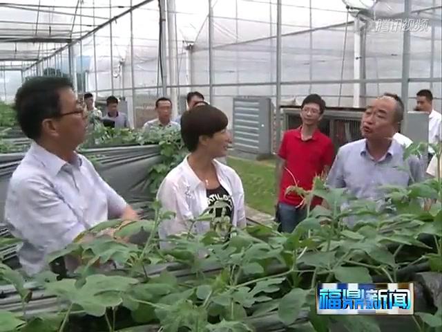 陳其春 陳興華到太姥山鎮 店下鎮檢查基層工作
