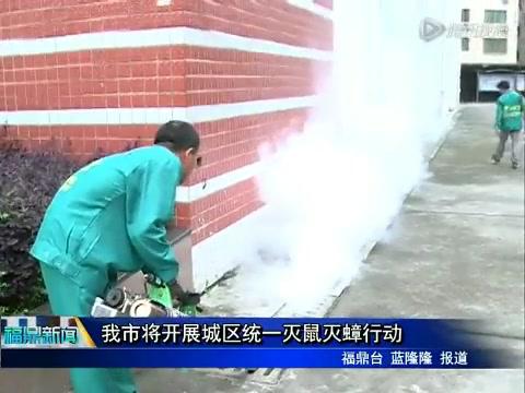 我市將開展城區統一滅鼠滅蟑行動