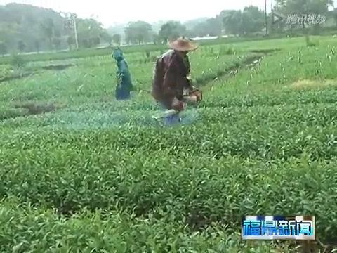 點(diǎn)頭：農(nóng)戶抓緊開(kāi)展生產(chǎn)自救