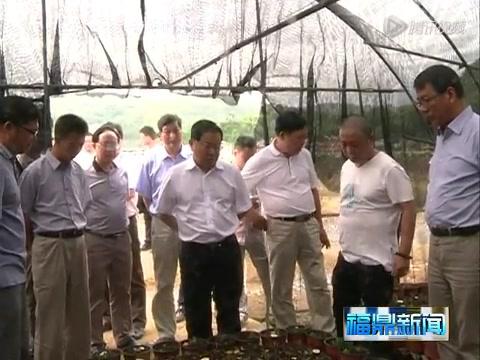 廖小軍到福鼎開展“四下基層、四解四促”活動