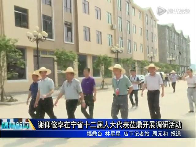 謝仰俊率在寧省十二屆人大代表蒞鼎開展調(diào)研活動