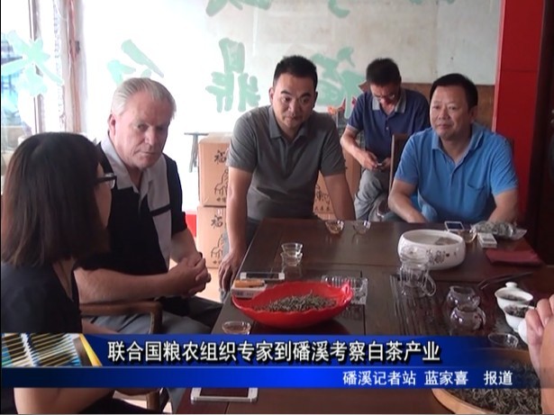 聯合國糧農組織專家到磻溪考察白茶產業