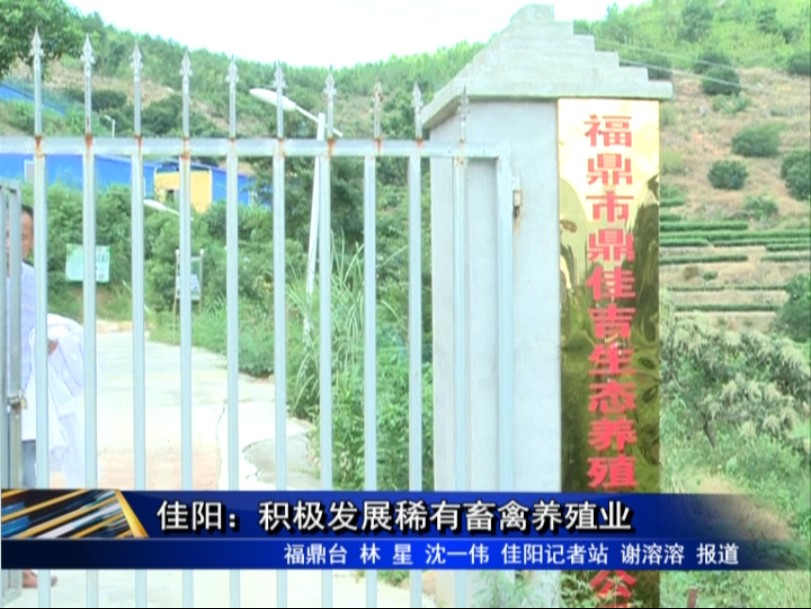 佳陽：積極發展稀有畜禽養殖業