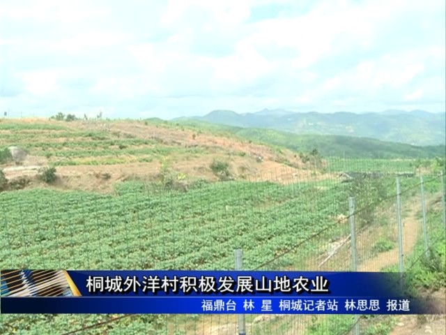 桐城外洋村積極發展山地農業