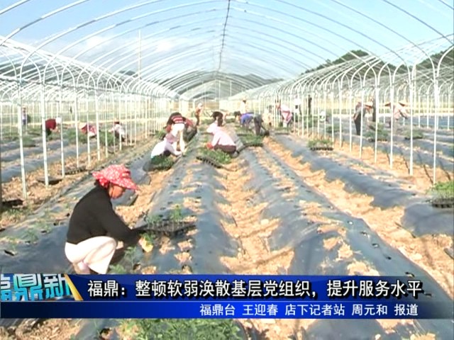 福鼎：整頓軟弱渙散基層黨組織，提升服務(wù)水平