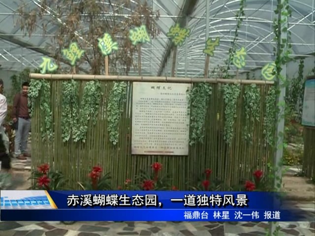 赤溪蝴蝶生態園，一道獨特風景