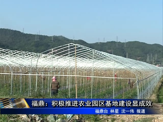 福鼎：積極推進農業園區基地建設顯成效