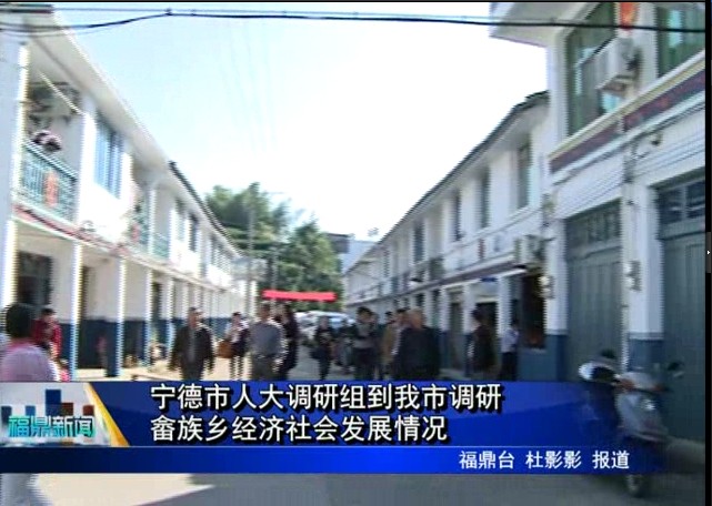 寧德市人大調研組到我市調研畬族鄉經濟社會發展情況
