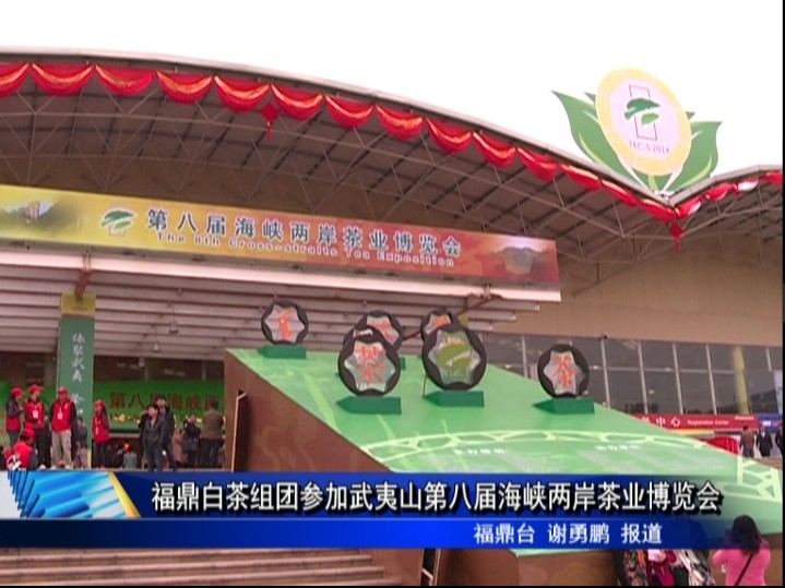福鼎白茶組團(tuán)參加武夷山第八屆海峽兩岸茶業(yè)博覽會(huì)
