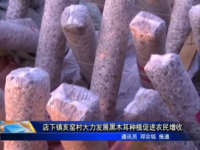 店下鎮亥窯村大力發展黑木耳種植促進農民增收