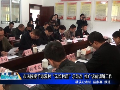 市法院授予赤溪村“無訟村居”示范點 推廣訴前調解工作