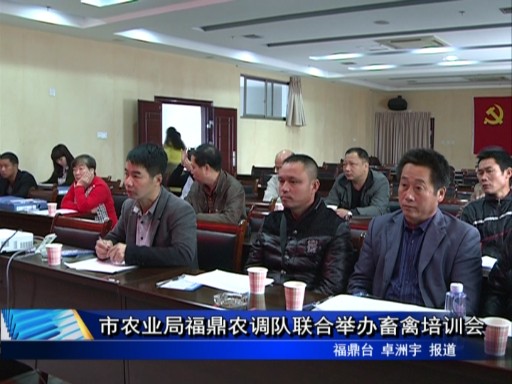市農業局福鼎農調隊聯合舉辦畜禽培訓會