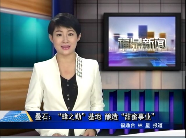 寧德市督導組對貫嶺分關村美麗鄉村建設進行督查指導