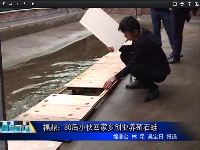 福鼎：80后小伙回家鄉創業養殖石蛙