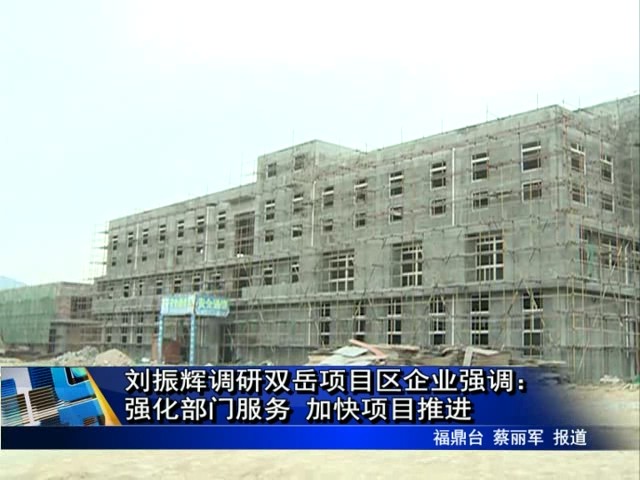 劉振輝調研雙岳項目區企業強調：強化部門服務 加快項目推進