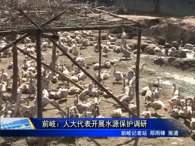 前岐：人大代表開展水源保護調研